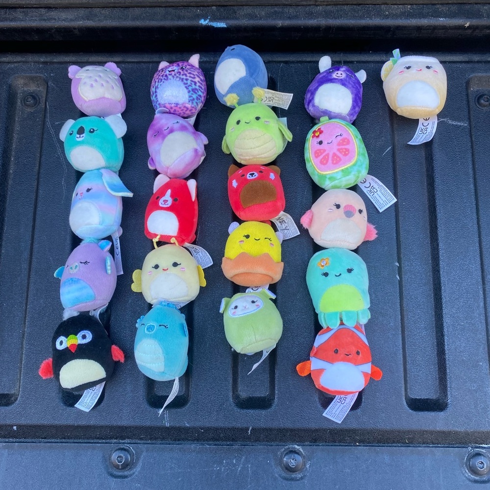 34 Squishmallow Minis